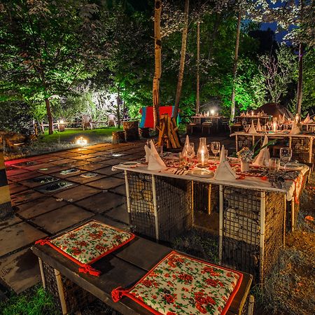 Solang Valley Resort Palchān Buitenkant foto