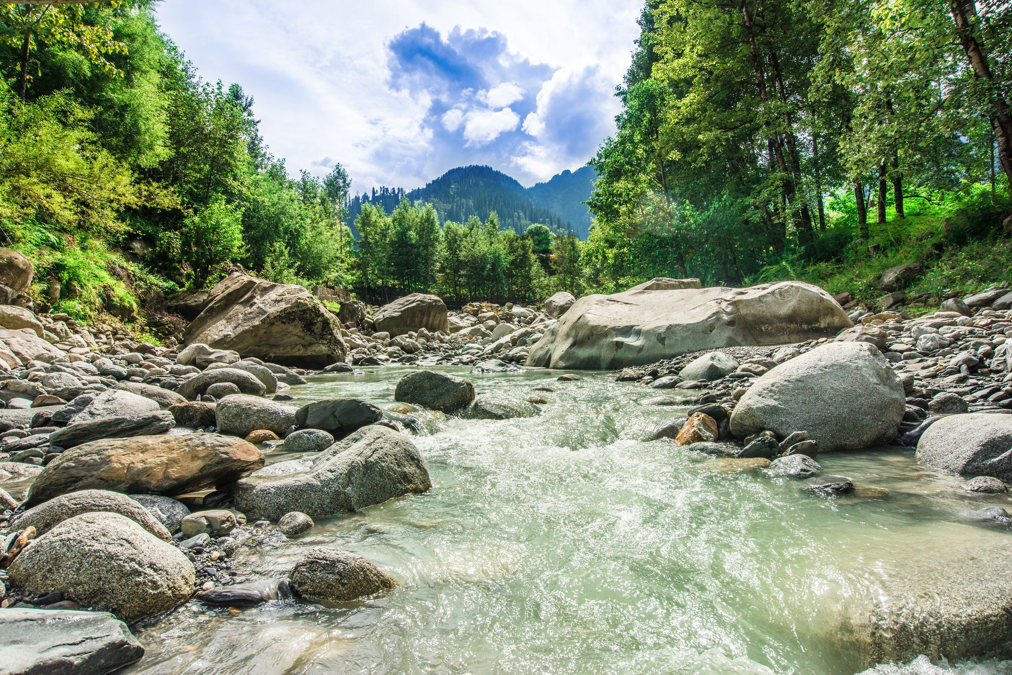 Solang Valley Resort Palchān Buitenkant foto