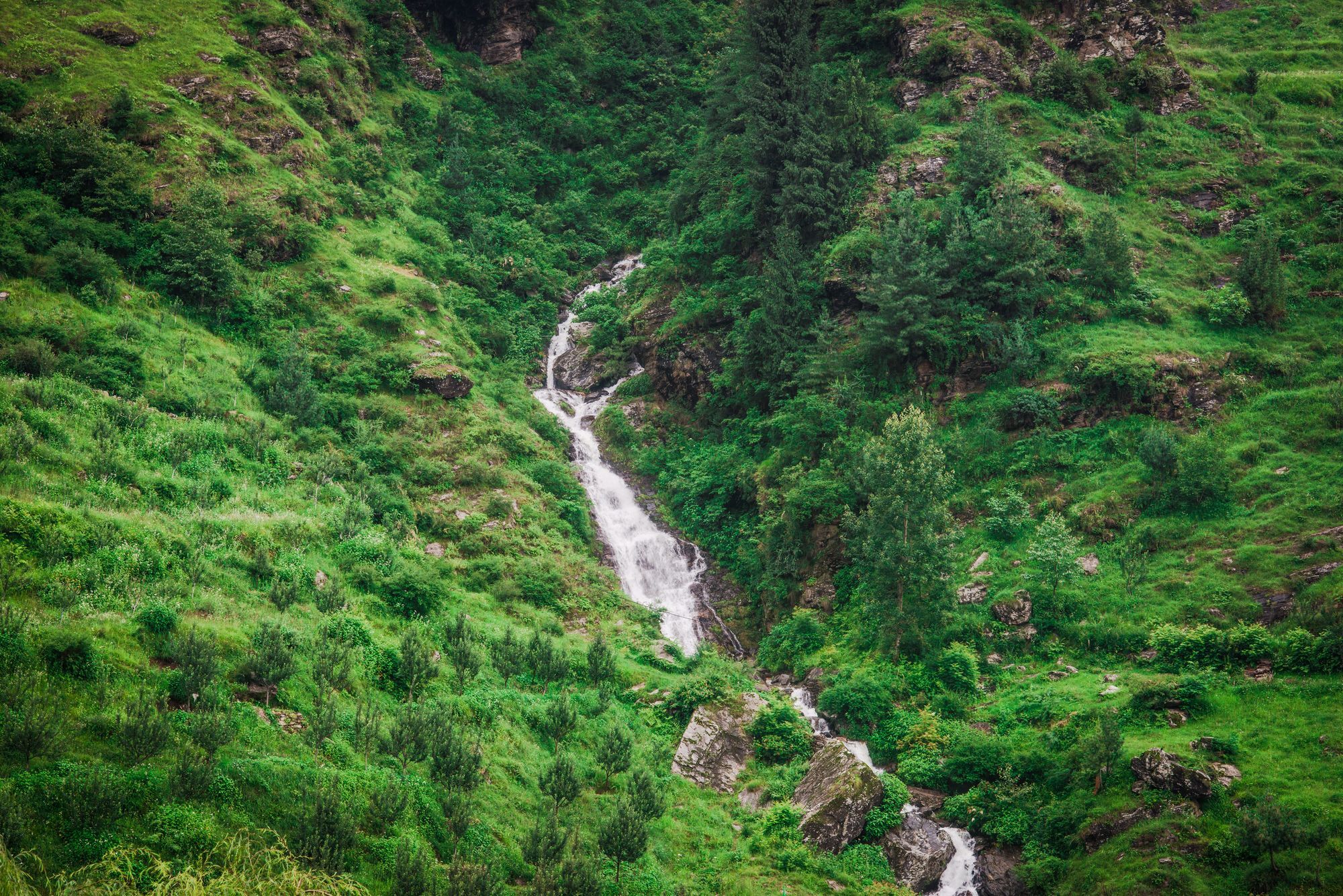Solang Valley Resort Palchān Buitenkant foto