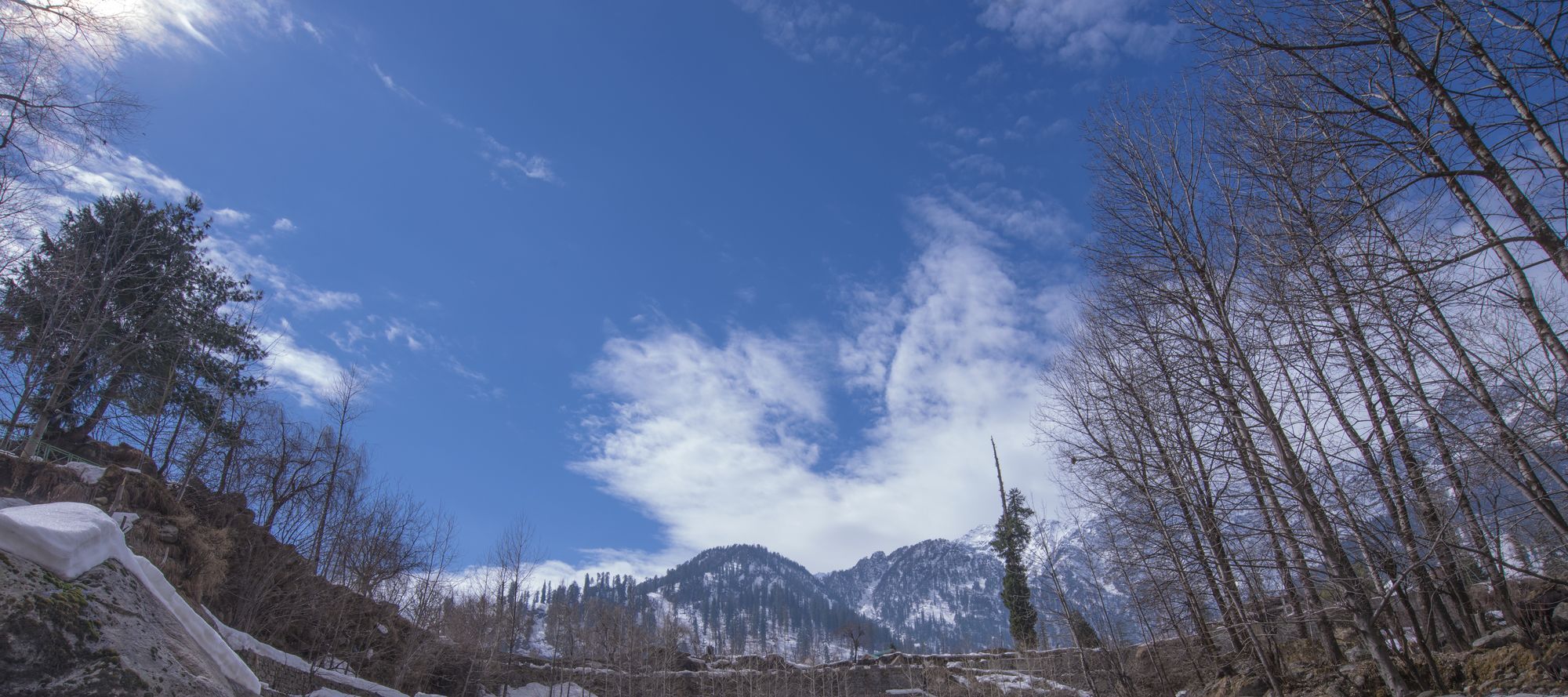 Solang Valley Resort Palchān Buitenkant foto