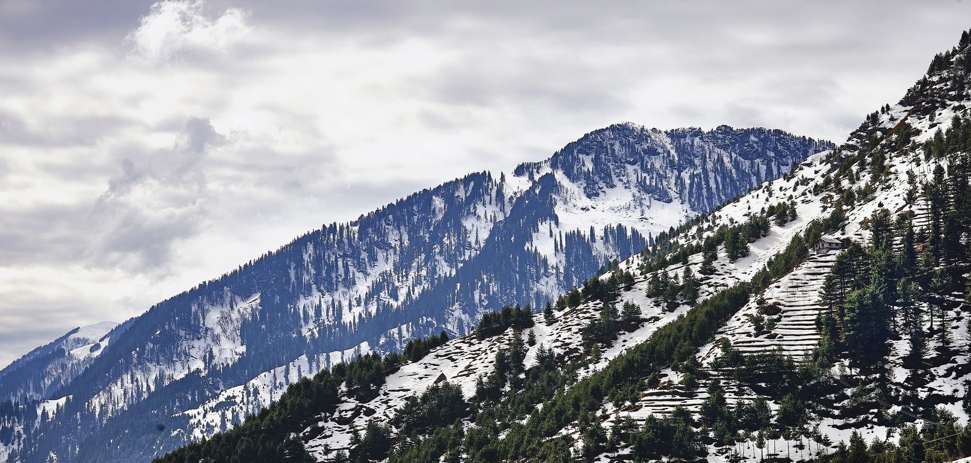 Solang Valley Resort Palchān Buitenkant foto