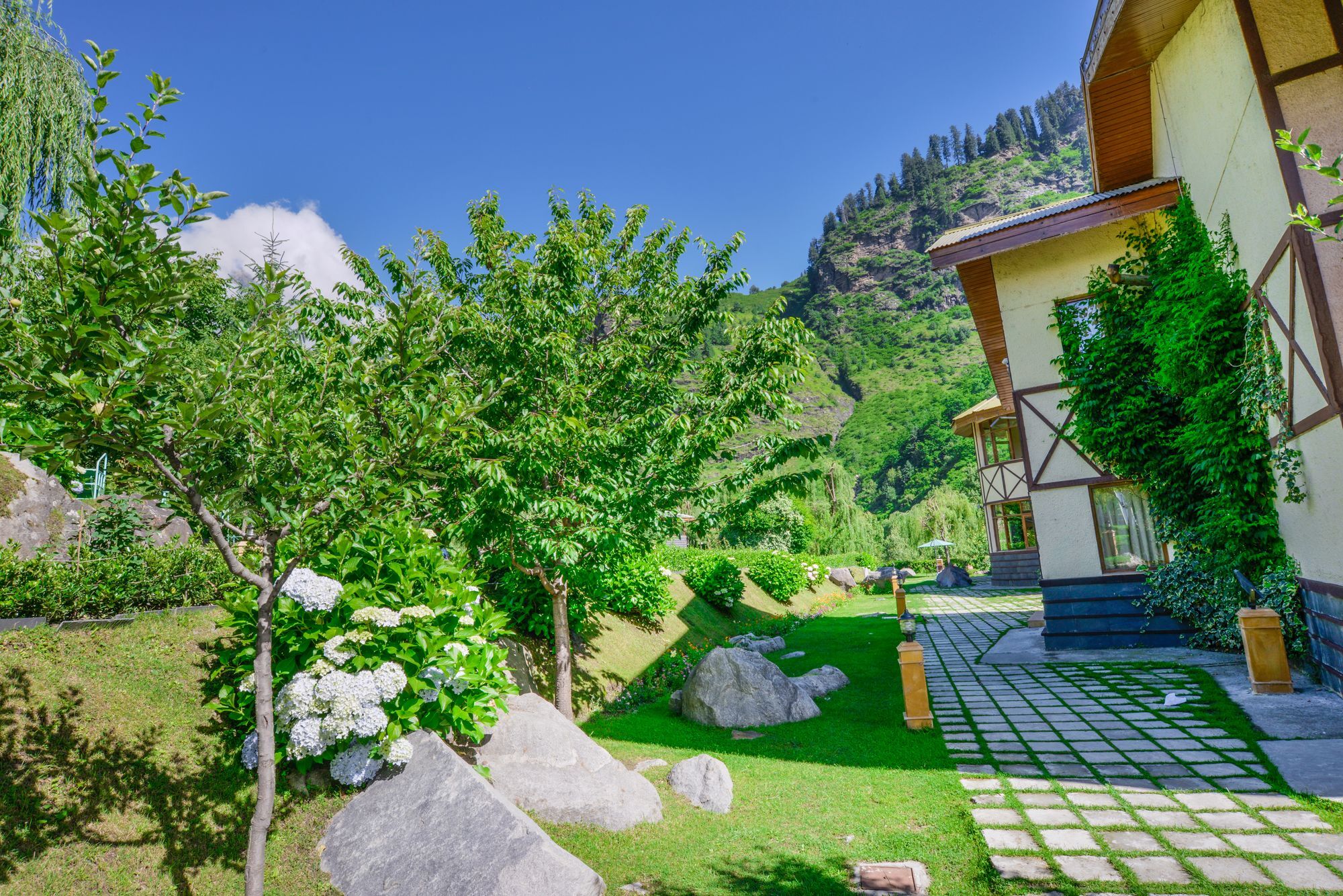 Solang Valley Resort Palchān Buitenkant foto