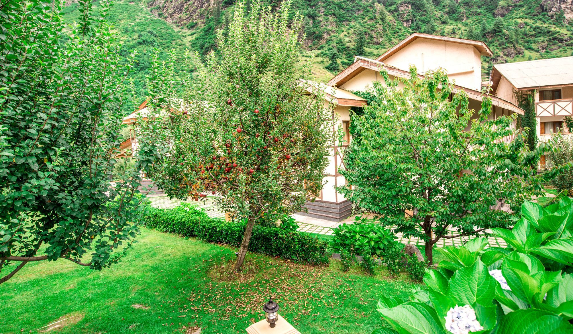 Solang Valley Resort Palchān Buitenkant foto